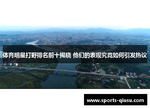 体育明星打野排名前十揭晓 他们的表现究竟如何引发热议